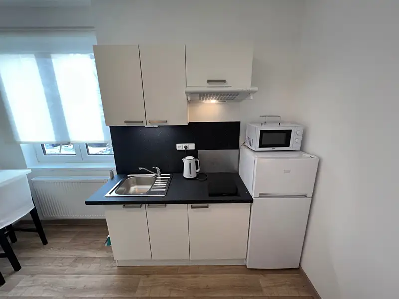 Pronájem bytu 1+kk 40 m², Praha – náhled fotky 2