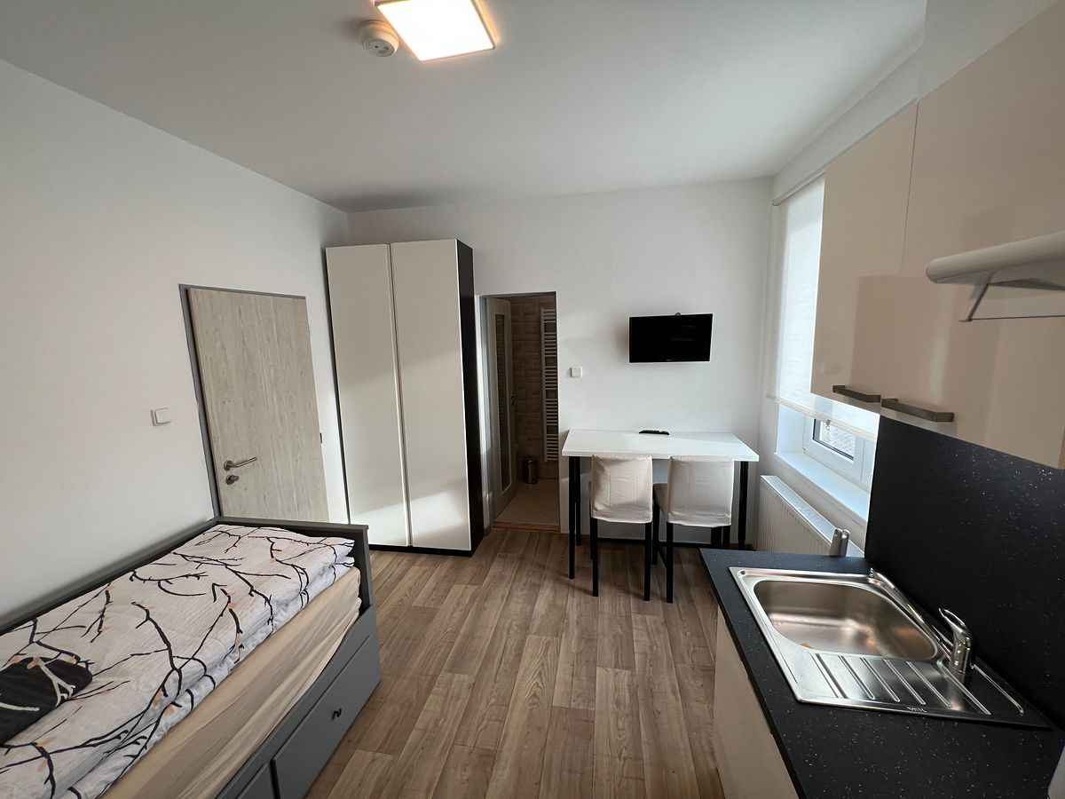 Pronájem bytu 1+kk 40 m² – fotografie 3