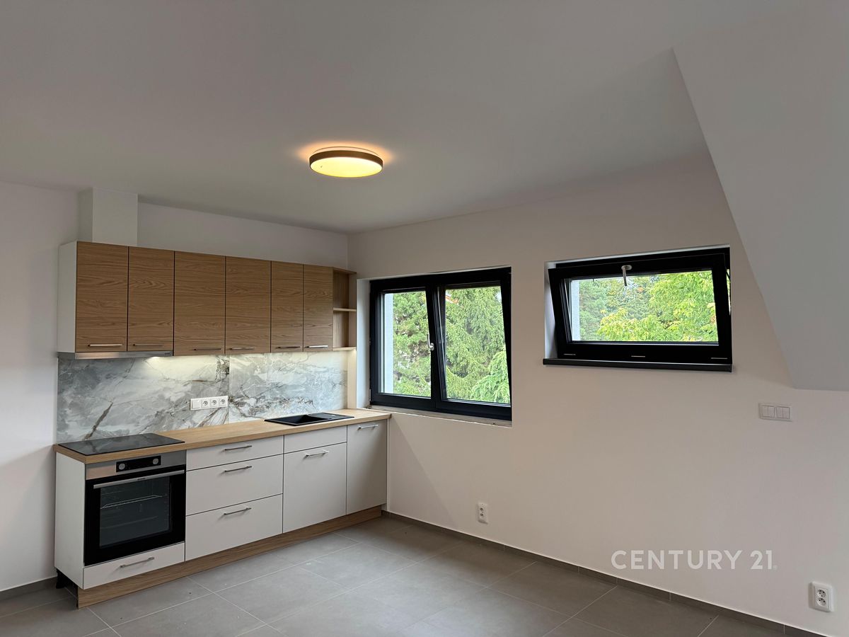Pronájem bytu 3+kk 52 m² – fotografie 4