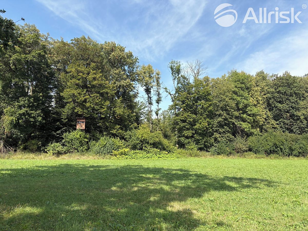 Prodej louky 2145 m² – fotografie 3