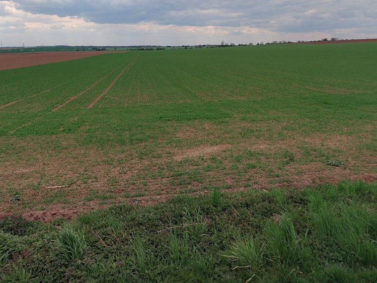 Grundstück zum Kauf, 2.775 m² (2 von 3)
