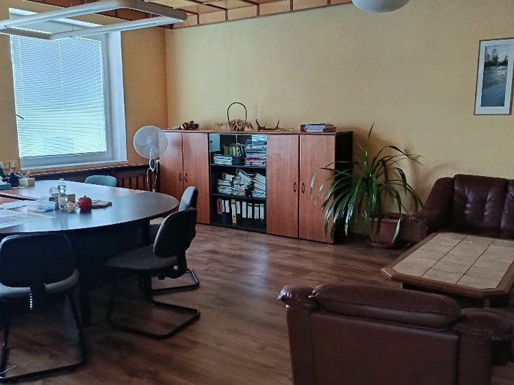 Gewerbefläche zum Kauf, 795 m² (7 von 11)