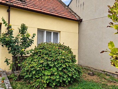 Haus zum Kauf, 70 m² (2 von 28)