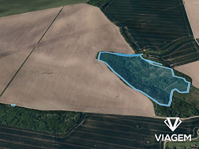 Prodej pozemku, 11 759 m² (2 z 4)