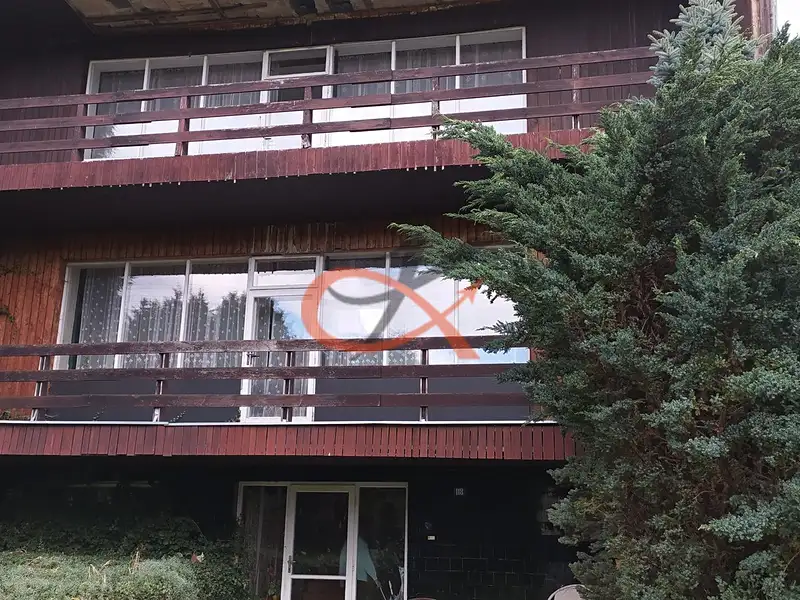 Prodej rodinného domu 250 m², pozemek 1817 m², Vigantice – náhled fotky 2