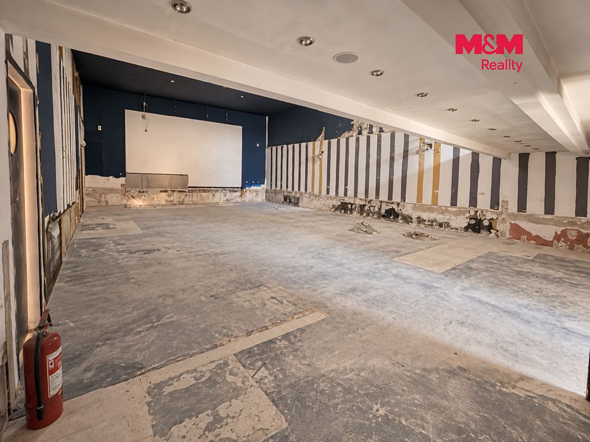 Pronájem obchodního prostoru 237 m² – fotografie 3