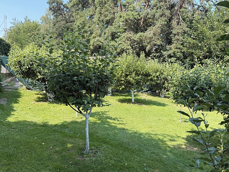 Prodej domu, 41 m² (8 z 36)
