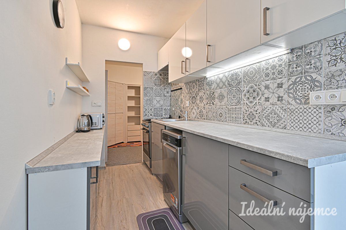 Pronájem bytu 2+1 50 m² – fotografie 2