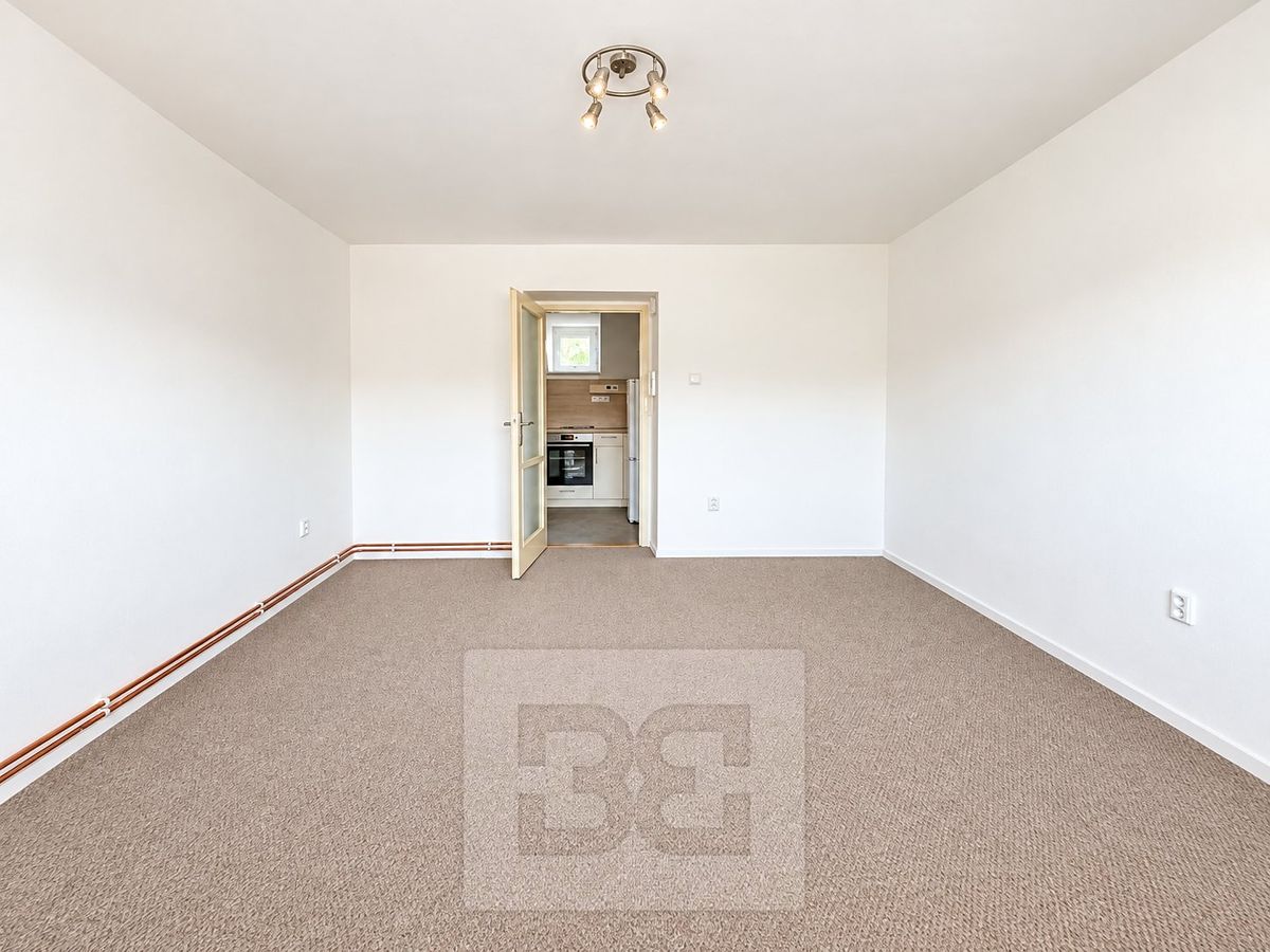 Pronájem bytu 1+kk 29 m² – fotografie 5