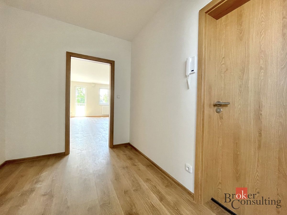 Pronájem bytu 1+kk 52 m² – fotografie 5
