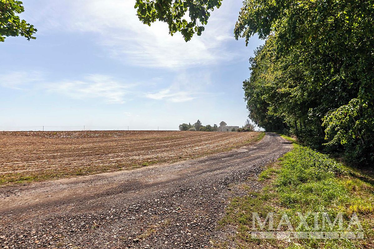 Prodej pole 3636 m² – fotografie 5