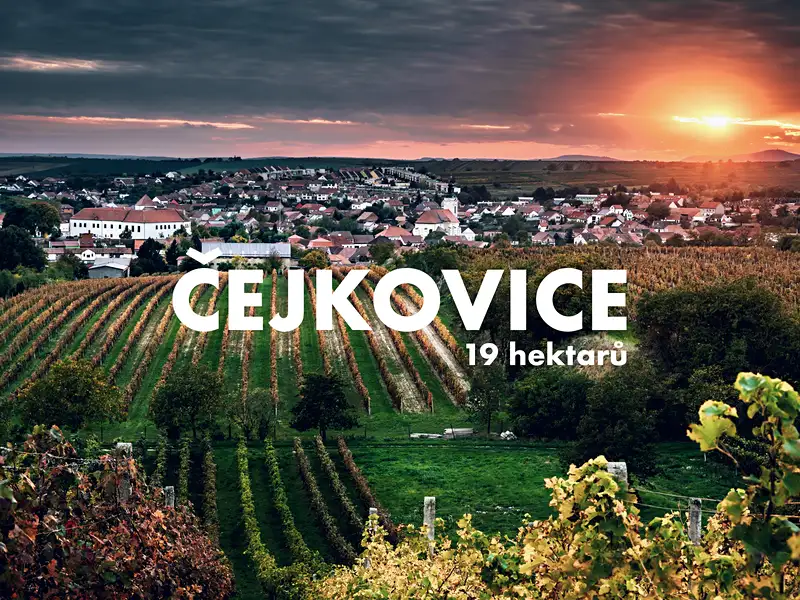 Prodej pole 194311 m², Čejkovice – náhled fotky 1