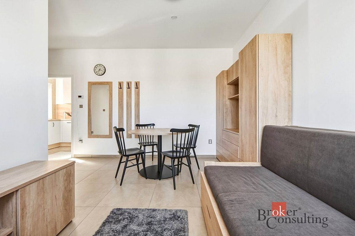 Pronájem bytu 1+kk 36 m² – fotografie 3