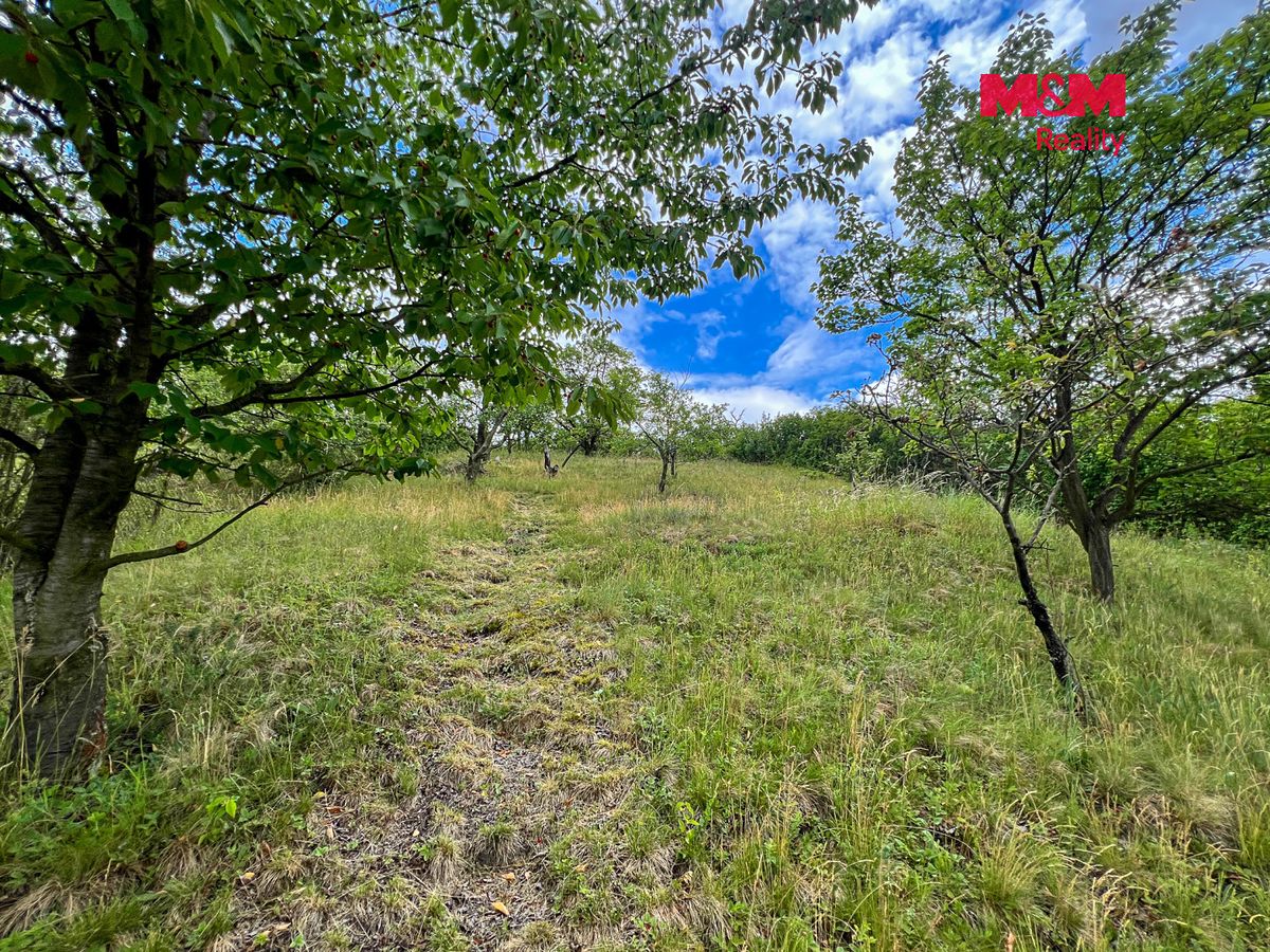 Prodej chaty 40 m², pozemek 1592 m² – fotografie 4