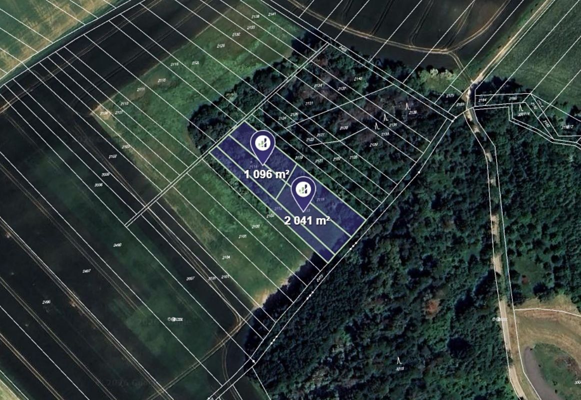 Prodej pole 3137 m²