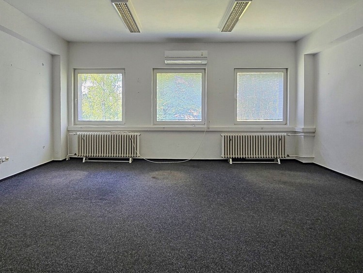 Pronájem komerčního prostoru, 156 m² (8 z 18)