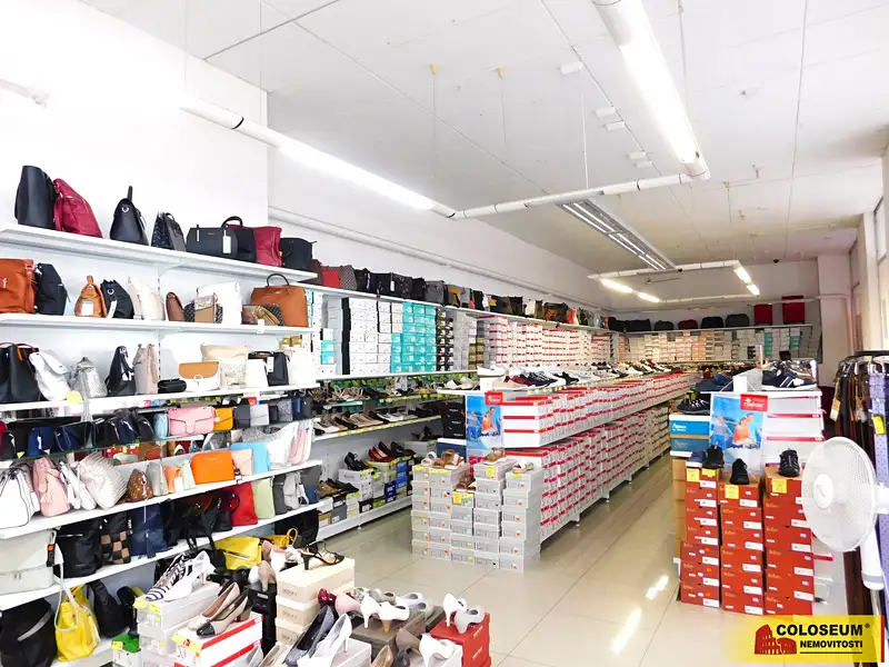 Prodej vícegeneračního domu 1700 m², pozemek 990 m², Znojmo – náhled fotky 2