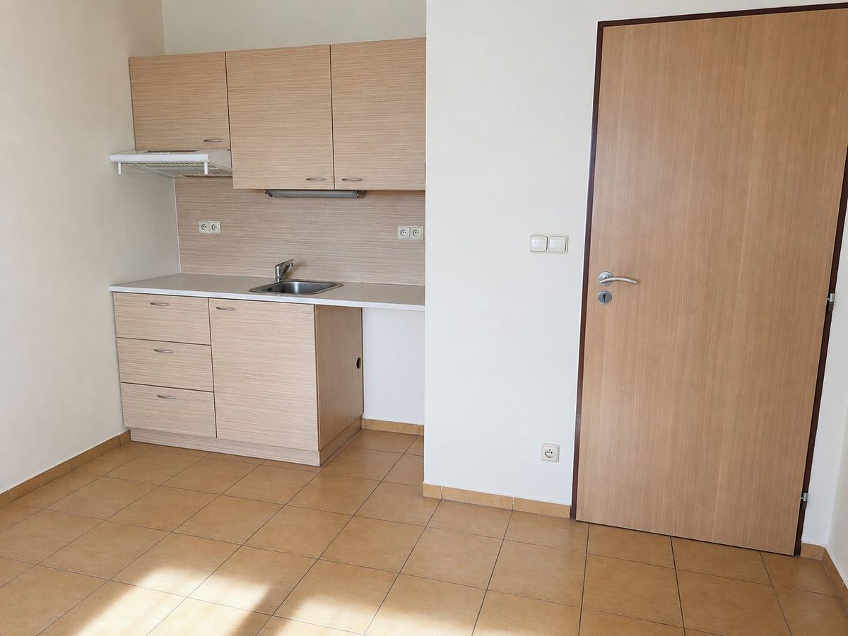 Pronájem bytu 1+kk 29 m² – fotografie 3