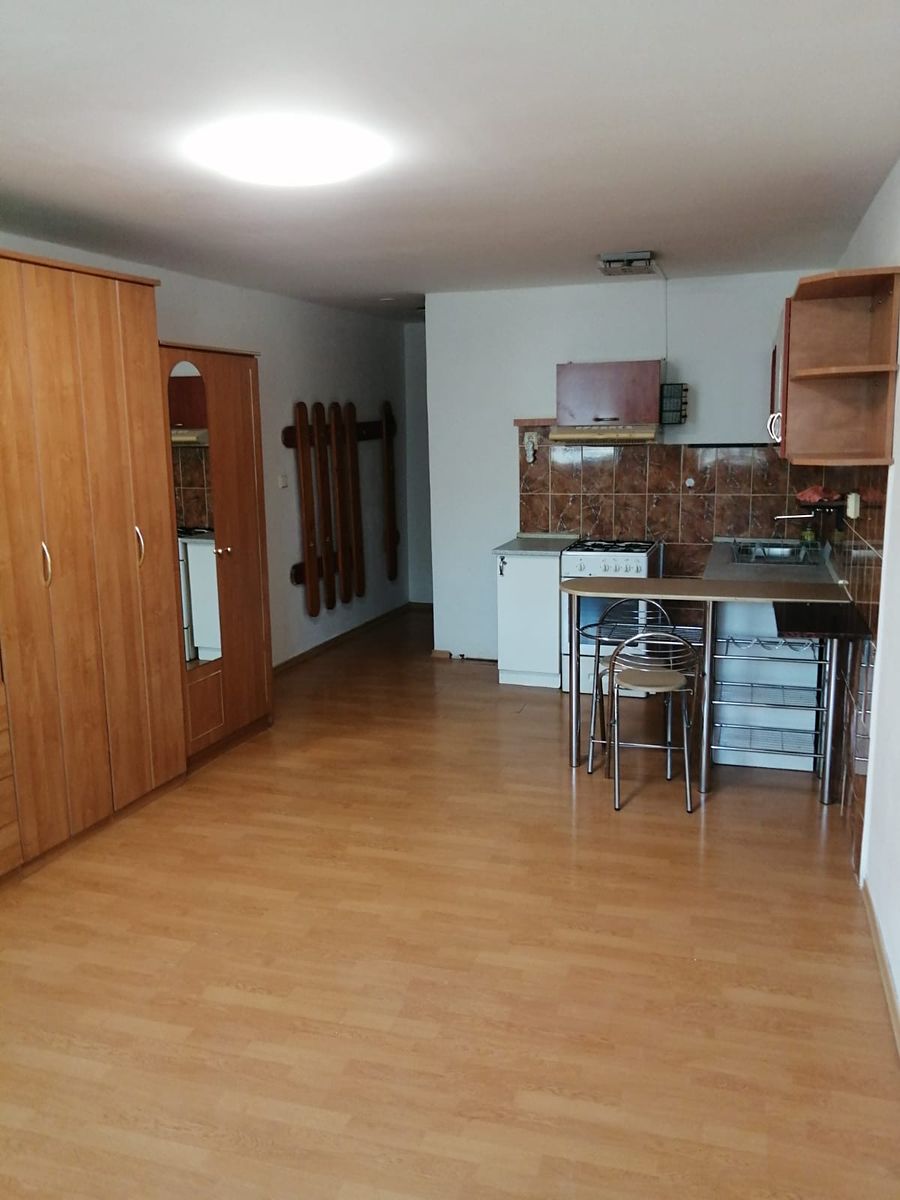 Pronájem bytu 1+kk 35 m² – fotografie 3
