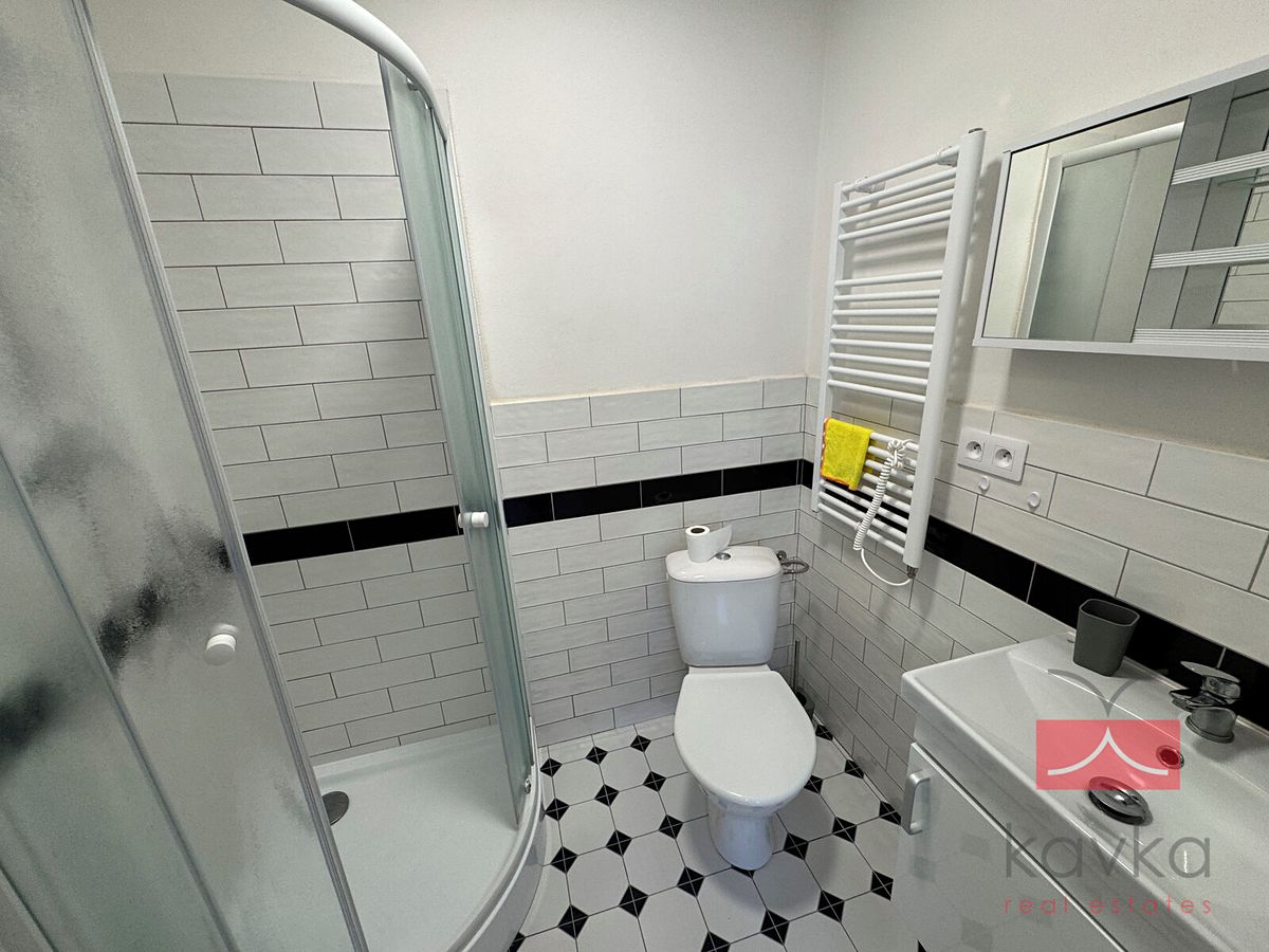 Pronájem bytu 1+kk 18 m² – fotografie 3