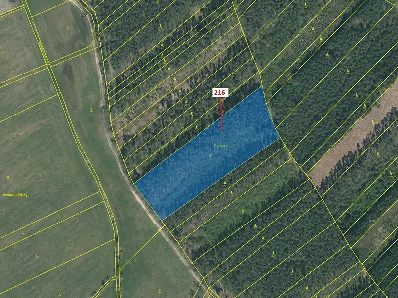 Dražba lesa 12481 m², Komárov – náhled fotky 2