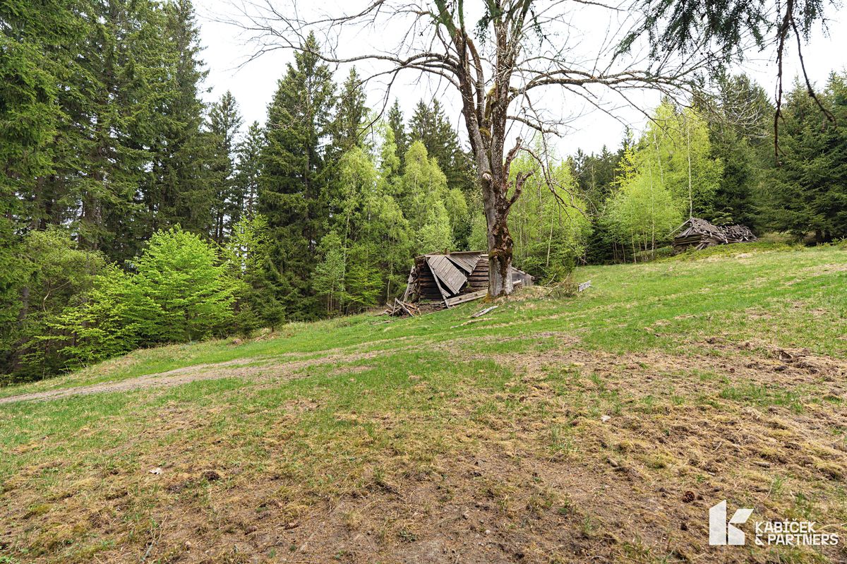 Prodej chaty 94 m², pozemek 934 m² – fotografie 4