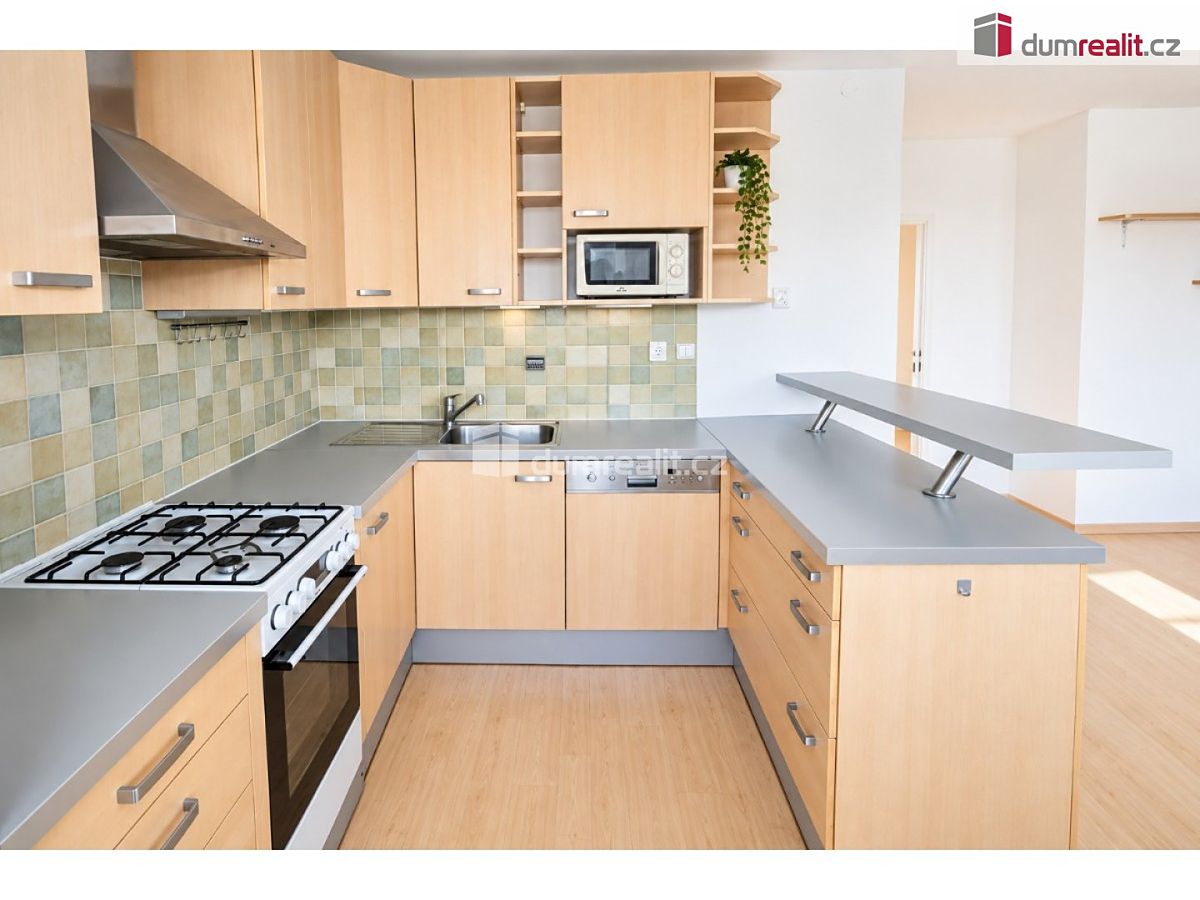 Pronájem bytu 3+kk 55 m² – fotografie 3