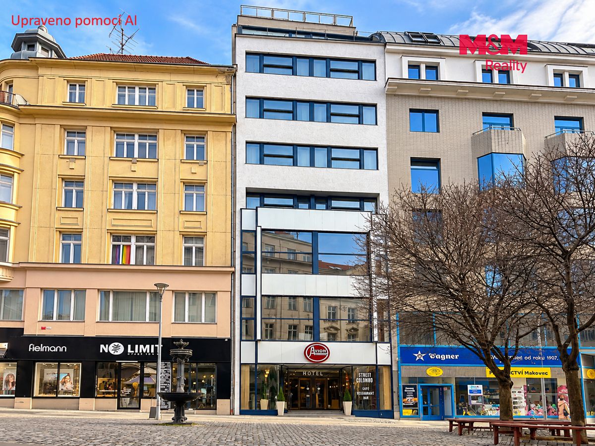 Pronájem obchodního prostoru 175 m² – fotografie 3