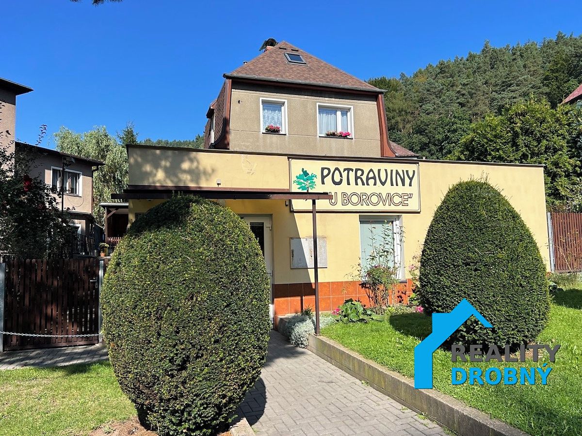 Prodej rodinného domu 205 m², pozemek 541 m²