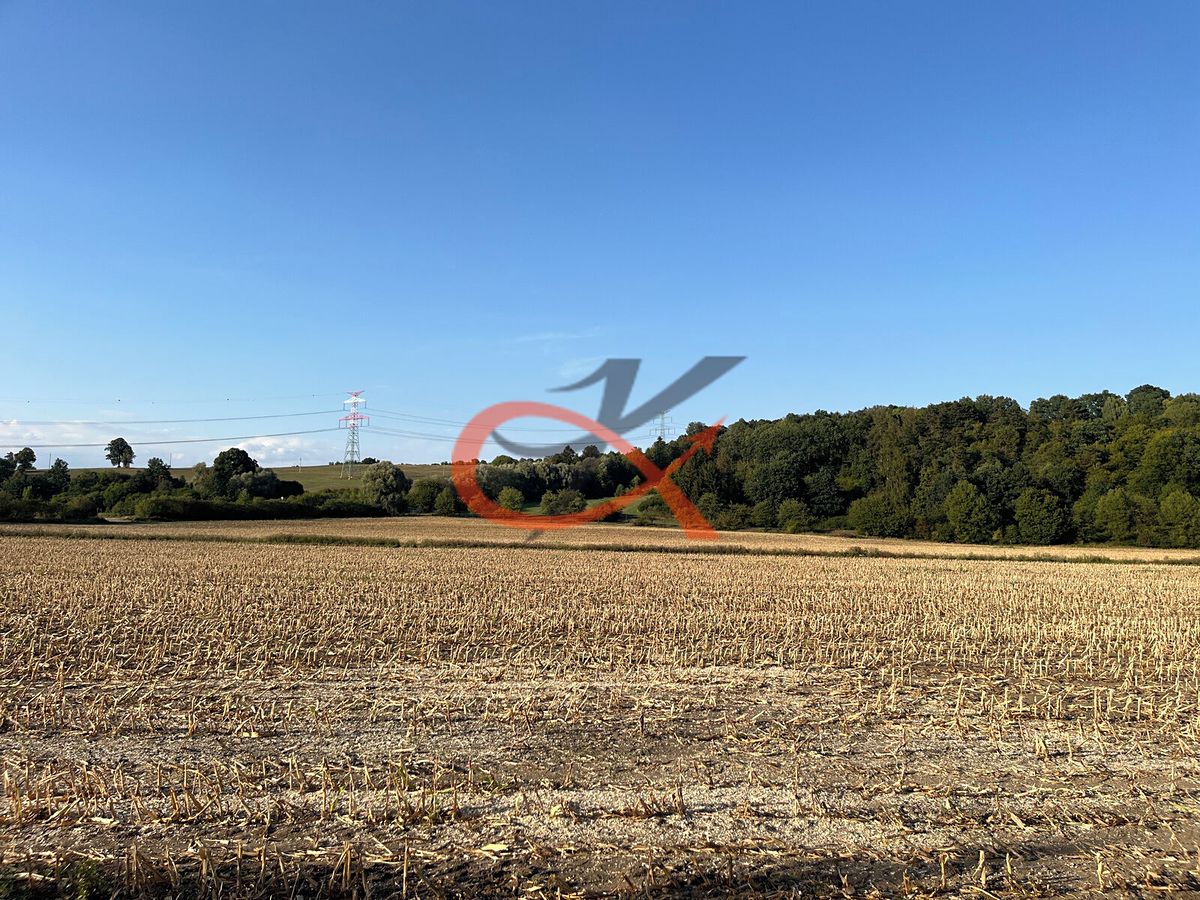Prodej pole 4766 m² – fotografie 2