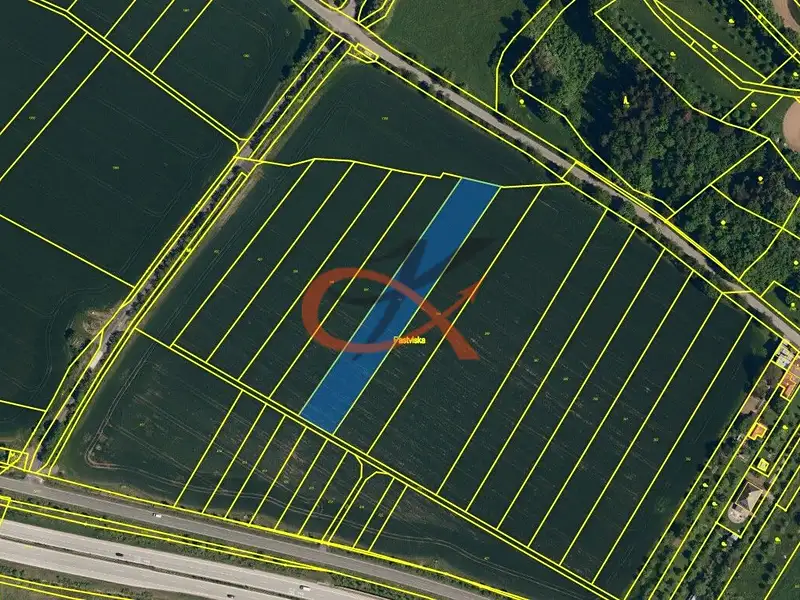 Prodej pole 4766 m², Lešná – náhled fotky 1