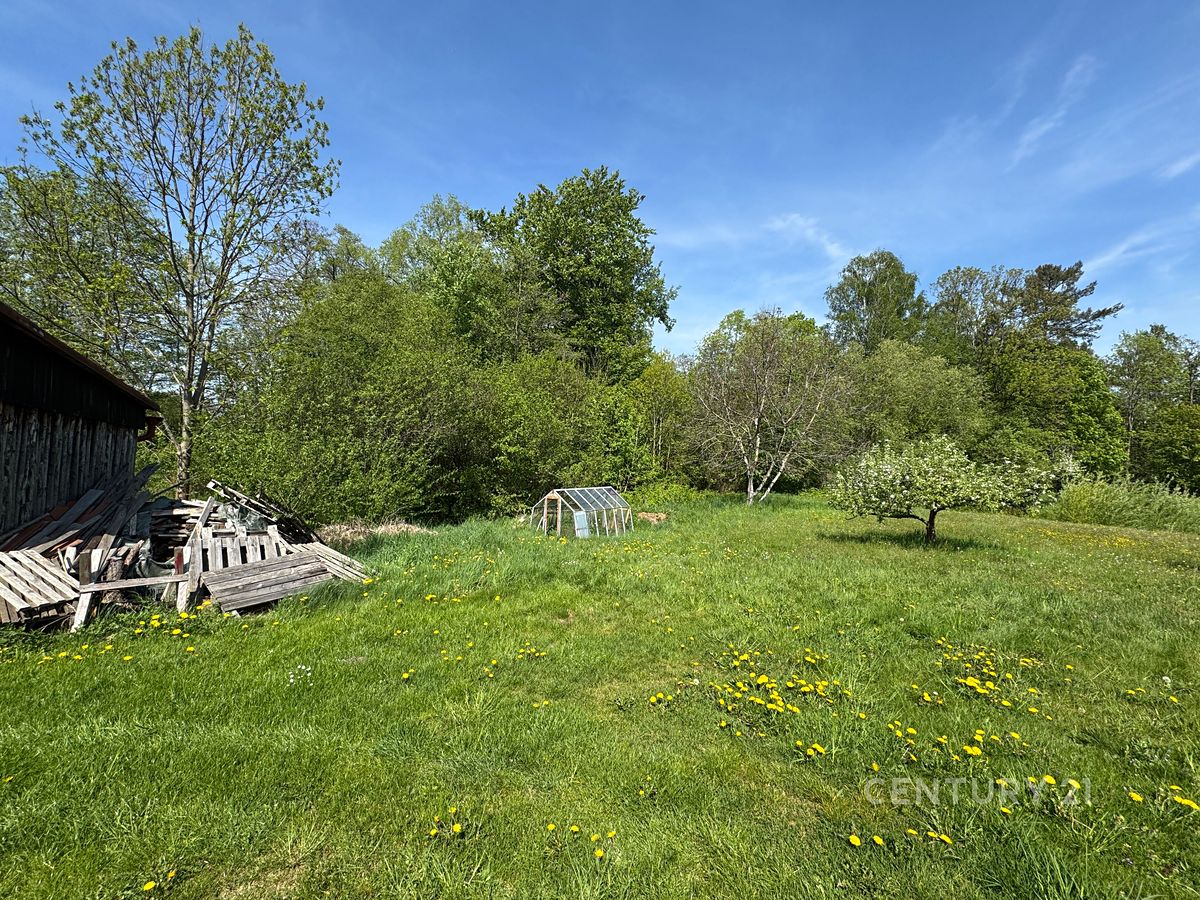 Prodej rodinného domu 120 m², pozemek 2545 m² – fotografie 5
