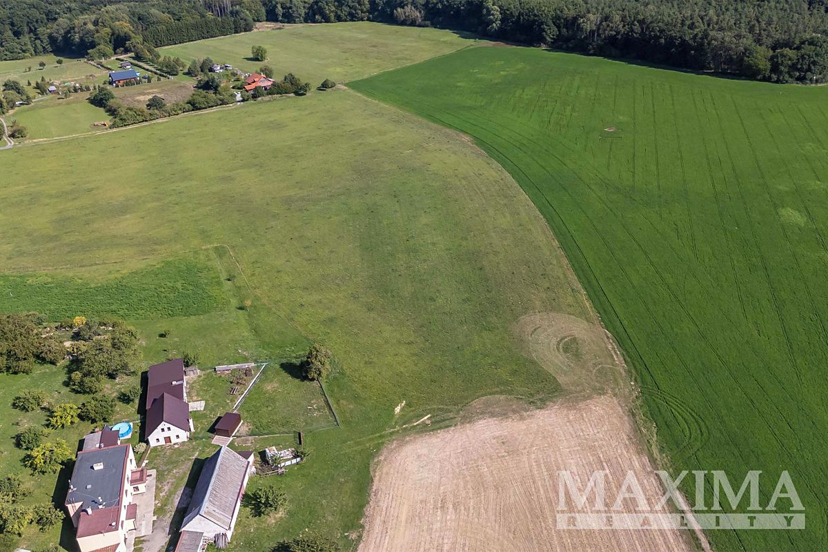 Prodej pole 7163 m² – fotografie 2