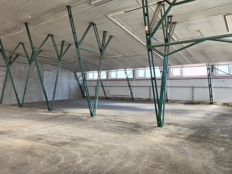 Pronájem komerčního prostoru, 515 m² (3 z 7)