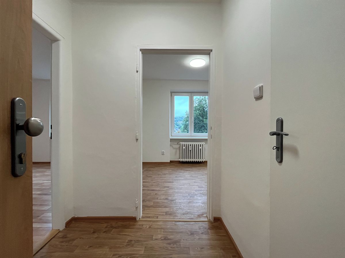 Pronájem bytu 1+1 30 m² – fotografie 4