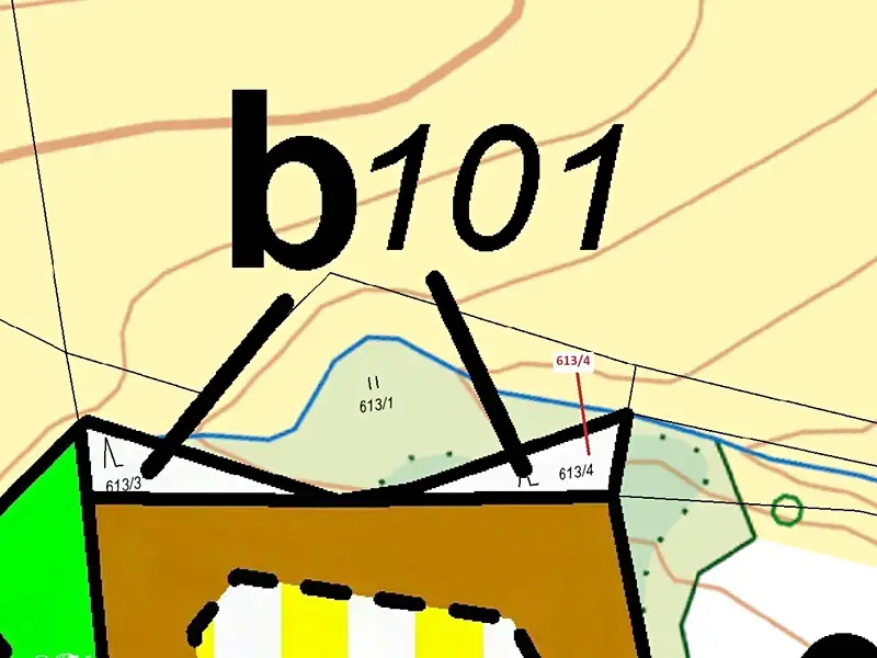 Dražba lesa 185 m², Záboří – náhled fotky 3