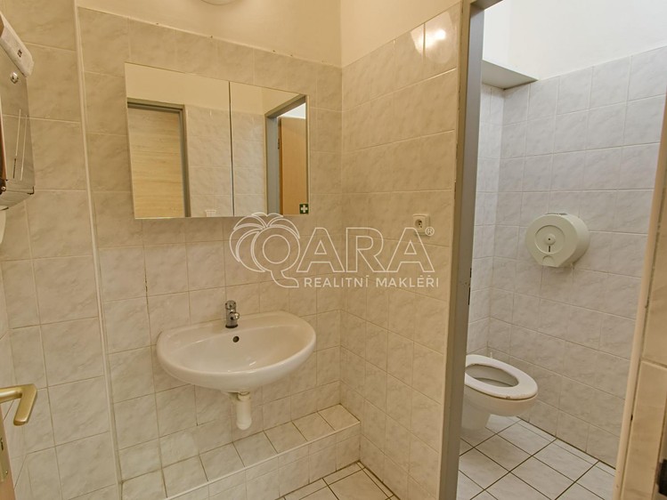 Pronájem komerčního prostoru, 650 m² (11 z 12)