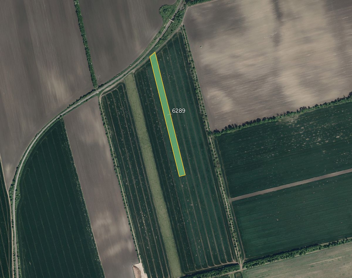 Prodej pole 10196 m²