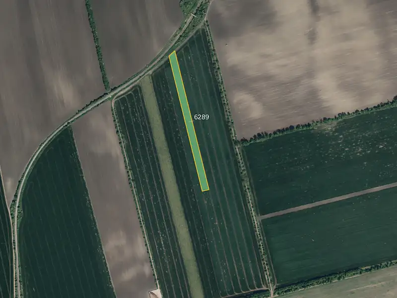 Prodej pole 10196 m², Lipov – náhled fotky 1