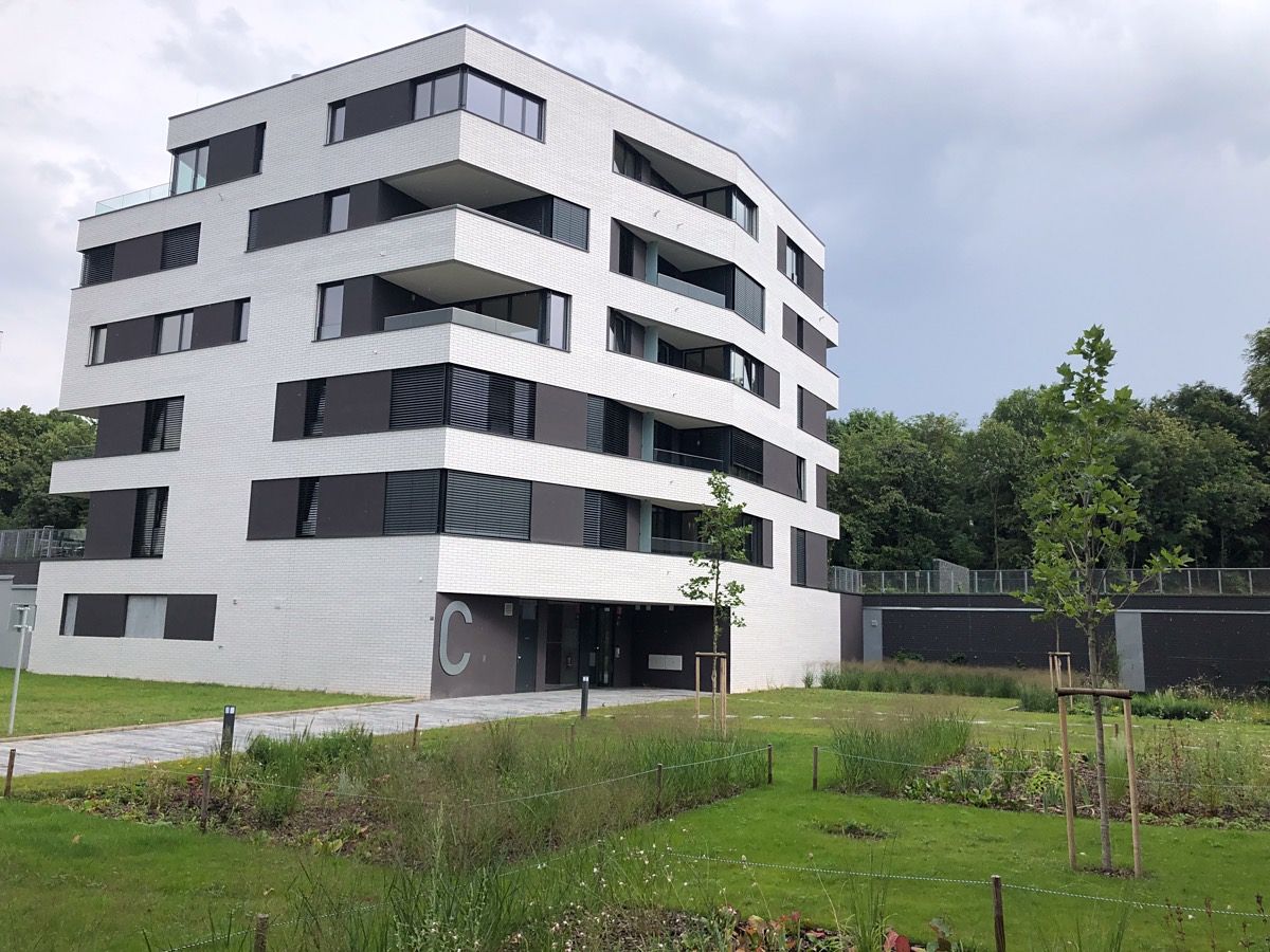 Pronájem bytu 2+kk 65 m² – fotografie 4