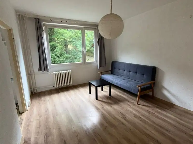 Pronájem bytu 2+1 53 m², Ústí nad Labem – náhled fotky 3