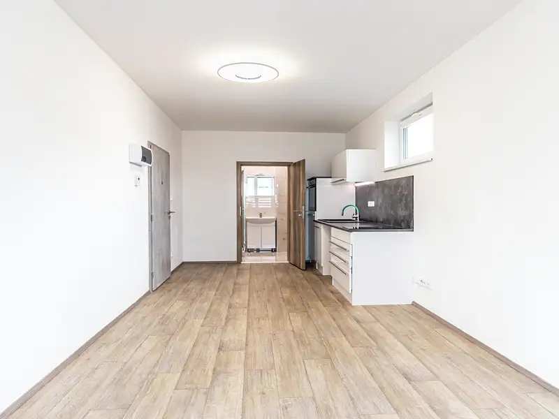 Pronájem bytu 1+kk 29 m², Mladá Boleslav – náhled fotky 2