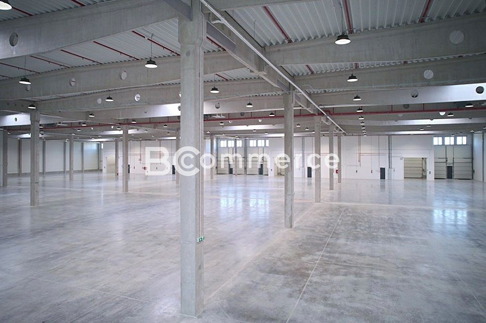 Pronájem skladového prostoru 1000 m² – fotografie 3