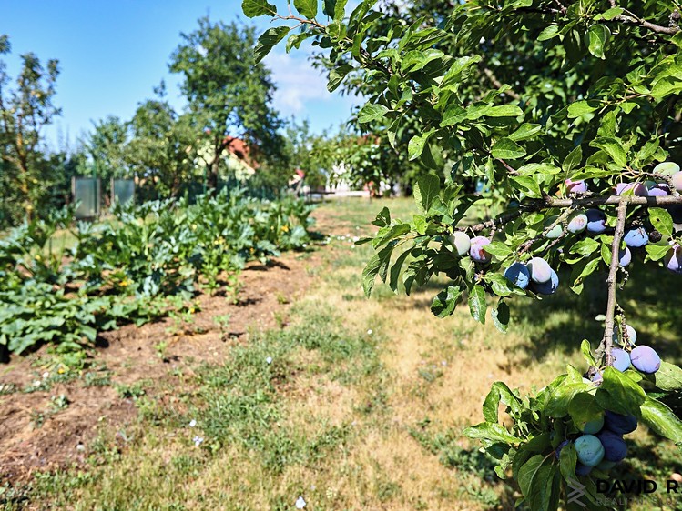 Ostatní