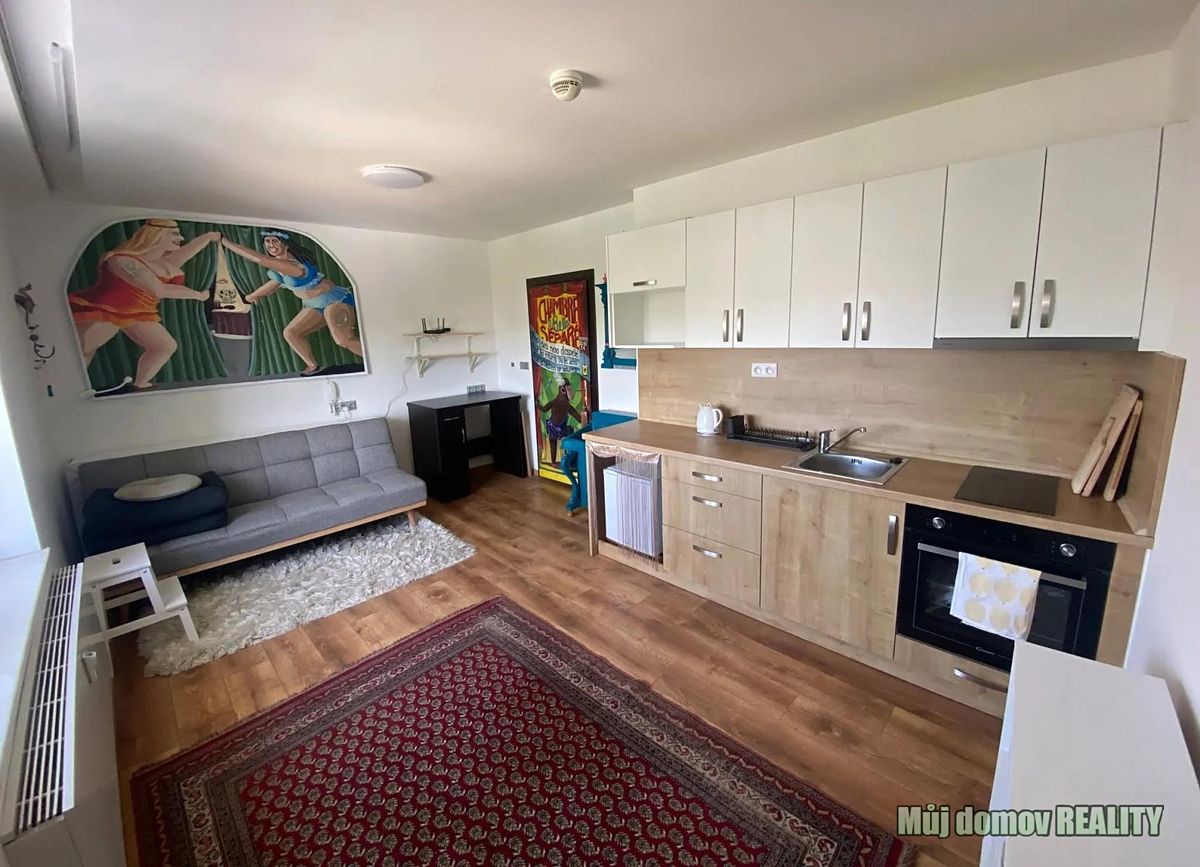 Pronájem bytu 1+kk 30 m² – fotografie 2