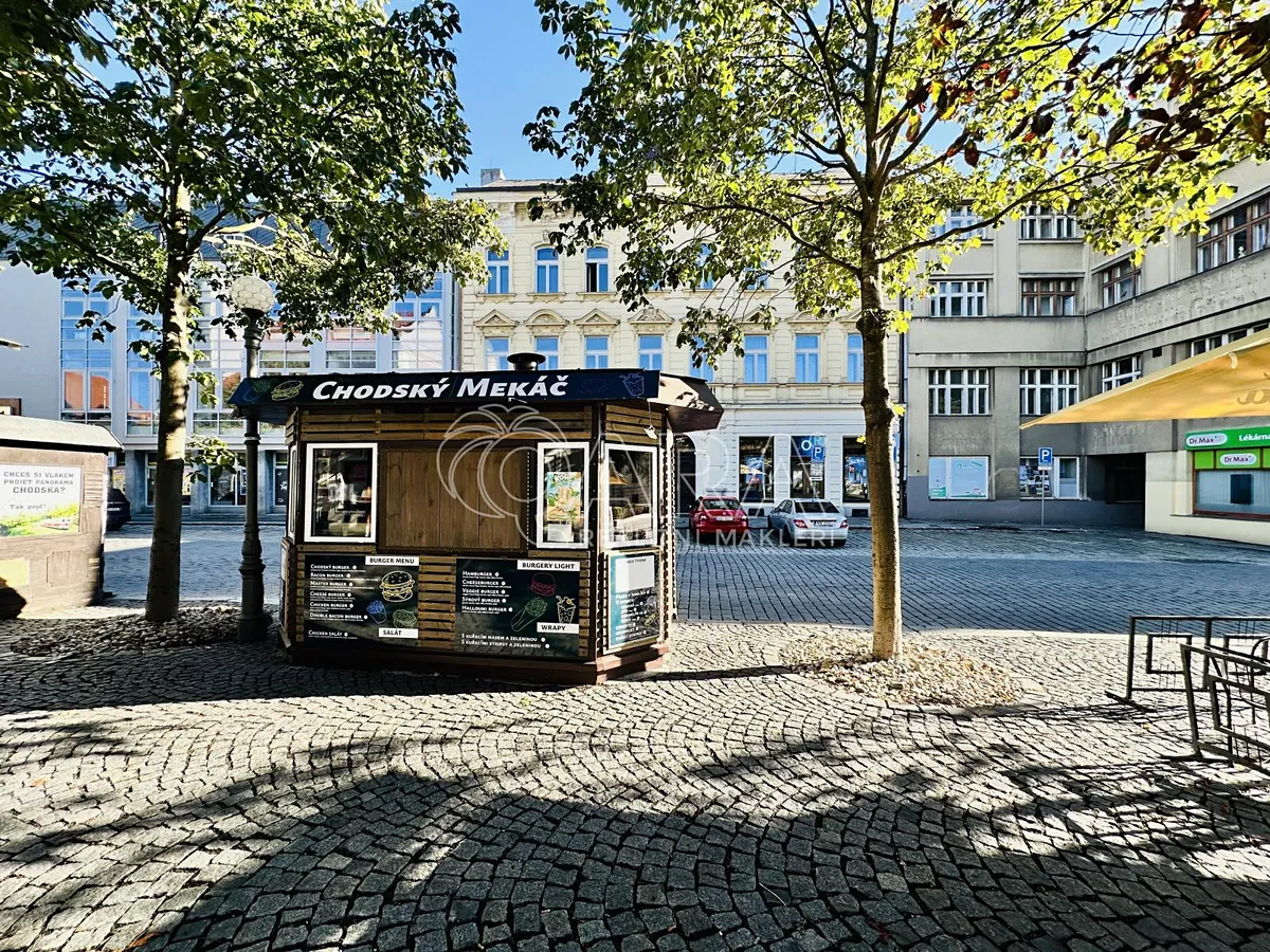 Fotka 10 z 11