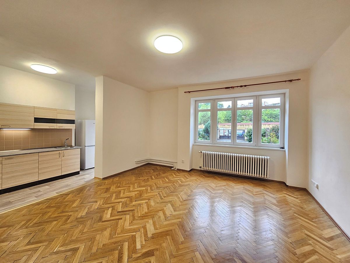 Pronájem bytu 1+kk 43 m²