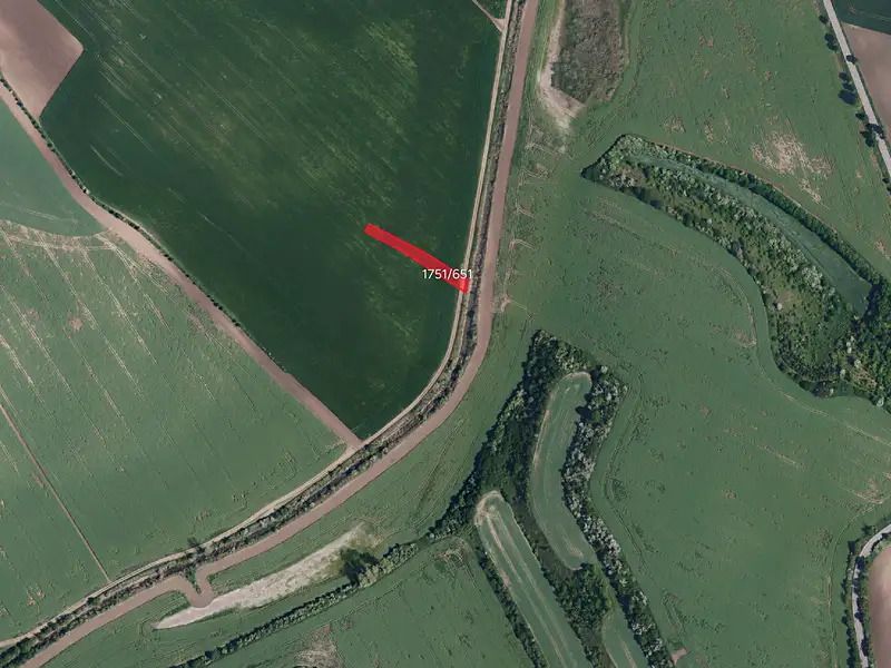Prodej pole 10445 m², Násedlovice – náhled fotky 3
