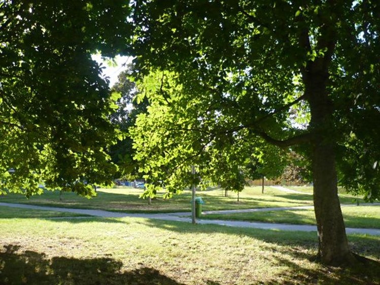 Prodej bytu 3+1, 76 m² (6 z 16)