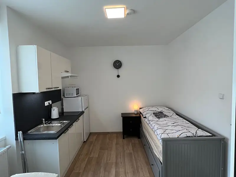 Pronájem bytu 1+kk 40 m², Praha – náhled fotky 1